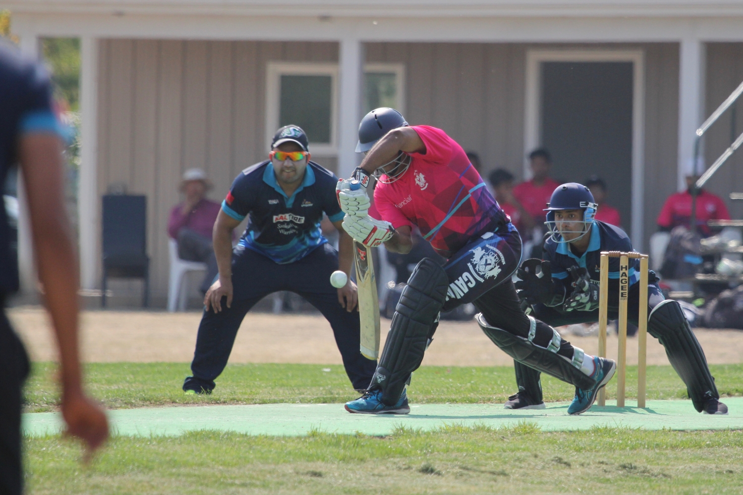 Saskatchewan provincial T20 Cricket finals this Sunday at Douglas Park in Regina