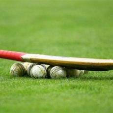 Cricket introduced to Yorkton by Cavalier Sports Club