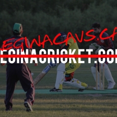 We have a new domain name!