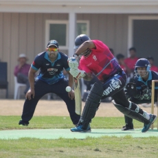 Saskatchewan provincial T20 Cricket finals this Sunday at Douglas Park in Regina